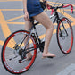 Road Race Variable Speed Solid Tire Double Disc Brake Bicycle Lion-Tree