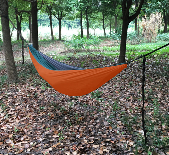 Outdoor camping warm cover cotton hammock Lion-Tree