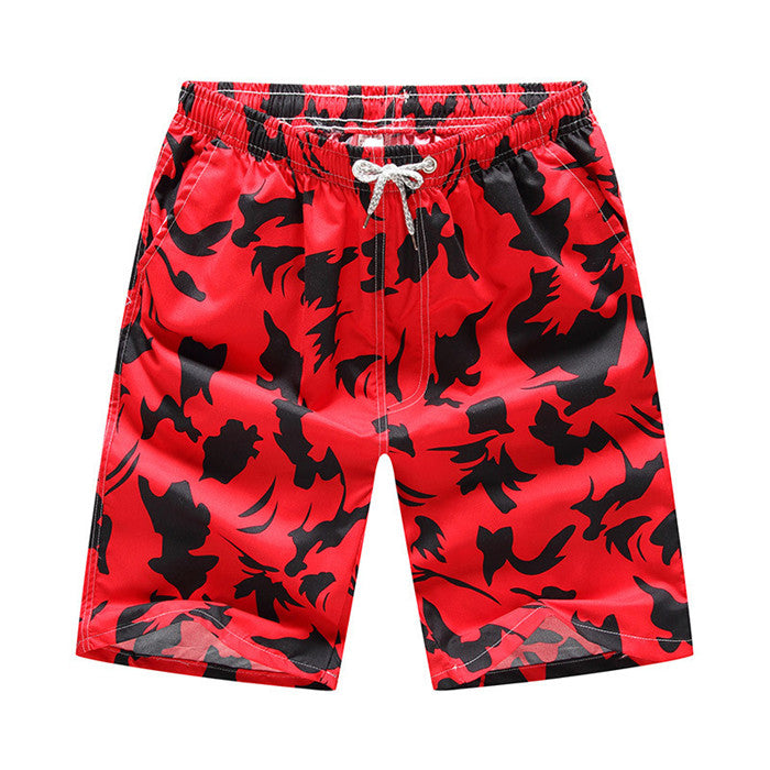 Summer beach pants casual shorts Lion-Tree