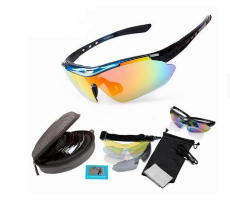 Cycling glasses polarized windproof outdoor glasses Lion-Tree