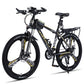 Variable Speed Shock Absorption Mountain Bike Lion-Tree