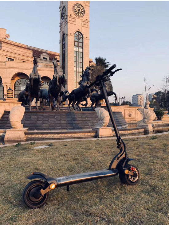 Double Drive Folding Scooter With Wide Tires Lion-Tree