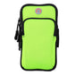 Compatible With Apple Handbag Arm Bags For Running Sports Fitness Lion-Tree