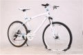 BMW Cross Country Mountain Bike Double Disc Brake Lion-Tree